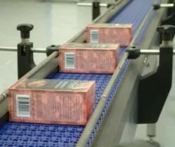 packing conveyor belt